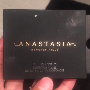 Anastasia blush trio - pool party